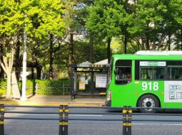 green fleet solutions