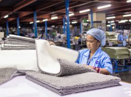 Traditional Industries