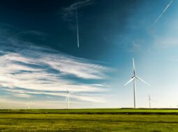 Alternative Fuel Development Trends Predicting the Energy Future of the Next Decade