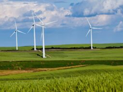 Gary S Winemaster- Green Economy