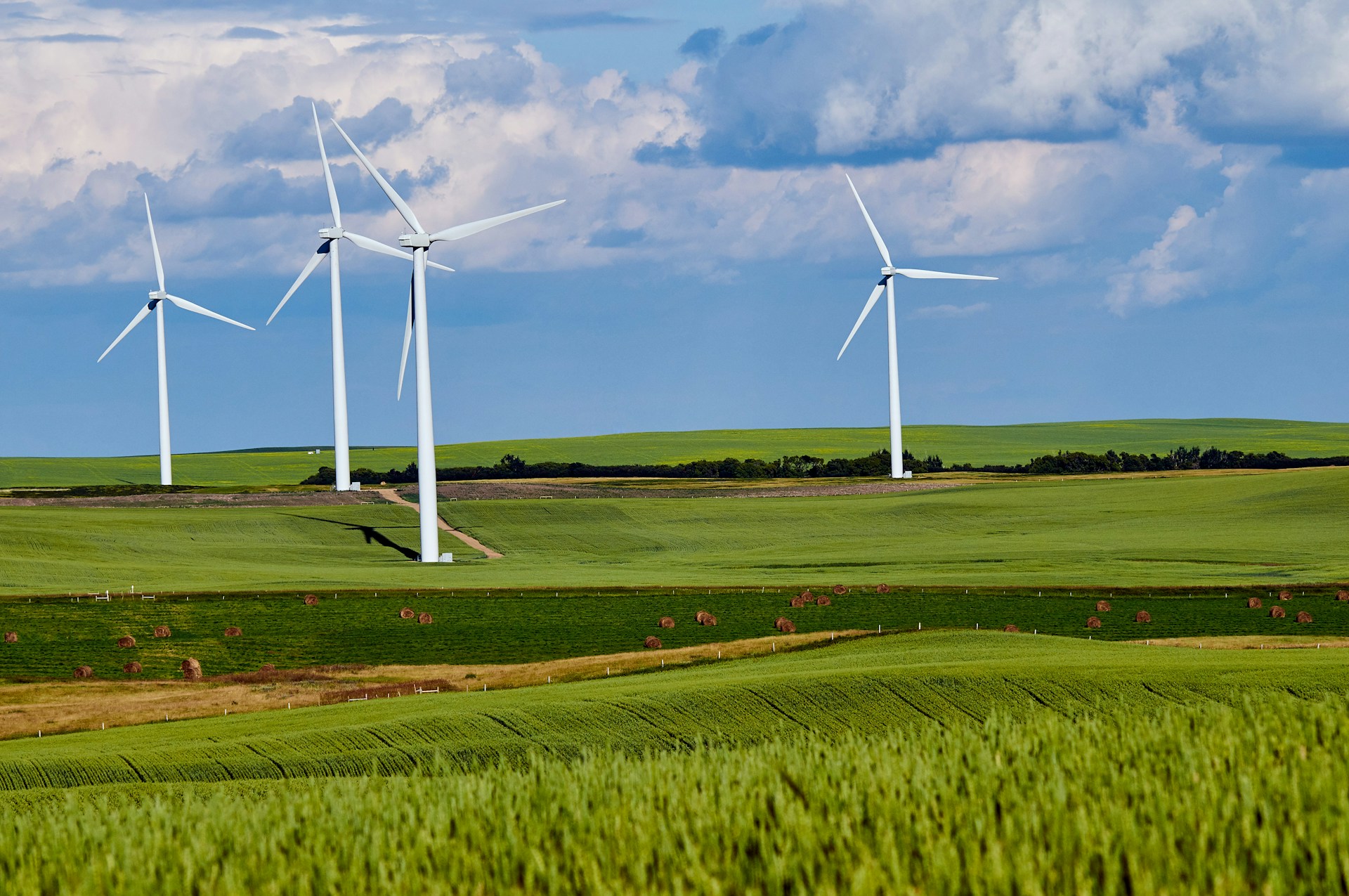 Gary S Winemaster- Green Economy